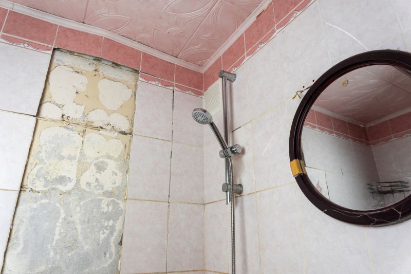 Bathroom Repair